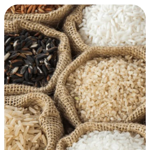 Rice for Export