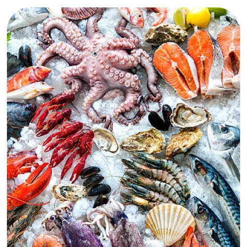 Seafood and Fish